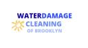 WATER DAMAGE CLEANING OF BROOKLYN logo